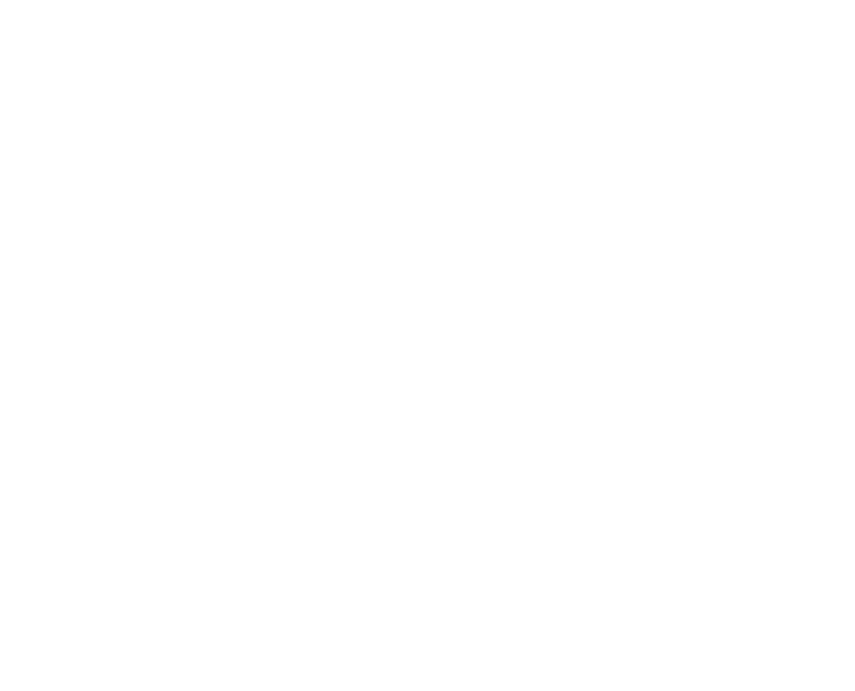partner-logo